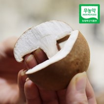 친환경팔도 초정 무농약 표고버섯 (실속형) 1kg, 단품