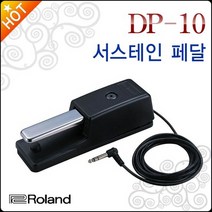 롤랜드 DP-10