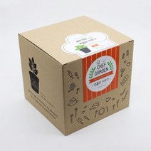 슬로시 키우기 좋은 식물 셰프가든 재배세트 씨앗, 루꼴라