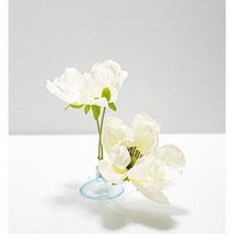 베타플라워 베타꽃침대 [아네모네 침대], 화이트