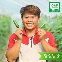 수분 가득 제철 과일 오이 양주농부 클로렐라 미니오이 2kg-5kg (40개-80개), 2kg, 1box