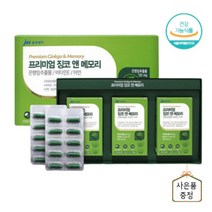 뇌 에 좋은 영양제 두뇌 건강 기억력 감퇴 인지력 개선 혈액순환 혈관 인지질 혈행개선 비타민E 아연 징코 은행잎 추출물 추천 식약처 인증, 징코영양제 3박스(9개), 3개