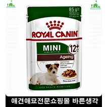 까탈스러운강아지입맛증진필수영양간식 웰시코기사료추천