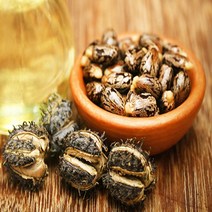 피마자오일 (Castor Oil)100ml