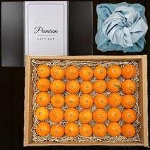 16~20Brix 초고당도 전국 상위 0.1% 감귤 불로초, 2kg