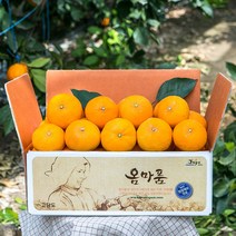 고씨네농장 청송 안동 꿀사과 경북 햇부사, 햇부사 중과 5kg (14~18과)