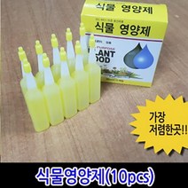 식물영양제 10개x3-30개 황초용액제 비료 화초영양제