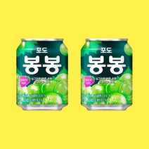 포도 봉봉 238ml 48캔 포도맛 음료수