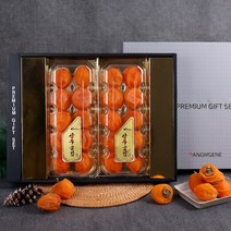 다농이네 [1월18일 오전9시까지 주문시 명절전배송][다농이네] 상주곶감 프리미엄 햇 왕 반건시 다농 2호 선물세트 [45g~55g 20입 1.1Kg내외]