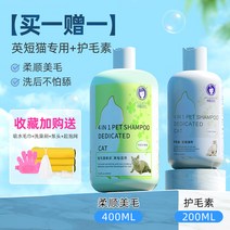 펫 고양 반려견 애견 냥이 밍크 이 목욕 전용 워시 천 인형 살균 진드기 향기로운 물결 목욕액, 12 [원 플러스 원]]잉글리쉬 쇼트 전용（증, 12 [원 플러스 원]]잉글리쉬 쇼트 전용（증