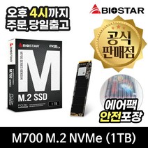 BIOSTAR M700 M.2 2280 (1TB) 정품 SSD [안전포장/오늘출발], 1