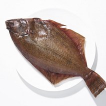 삼삼 남해안 자연산 도다리(냉동)3미, 단품