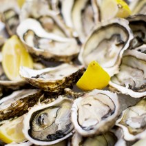 통영 새우 조개 왕우럭조개 털게석화굴구이, 1box, 하프셀1단