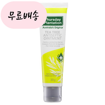 홍박스 [써스데이플랜테이션] 티트리 안티셉틱 OINT 30G 구매대행, 1개