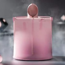 가정용 나혼자 1인용 접이식 이동식 건식 습식 스팀 사우나 기계 싸우나 찜질기 사우나기, 그린 리모콘불포함