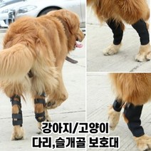 최강몰 강아지 쓸개골 슬개골 골절 관절염 탈구 보조기 보호대 S M L XL, 1개, 30g