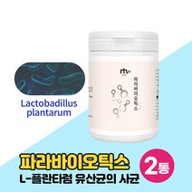 파라바이오틱스 유산균사균체 락토바실러스 L-플란타럼 5세대 차세대 실온보관 유산균 프로바이오틱스 분말 가루 유산균배양 생유산균19종 분말 파는곳 먹는법 1일1회3g, 100g x 2개