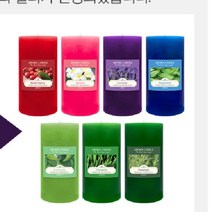 황진869황진 반려동물 냄새제거 향초 곰팡이 화장실 캔들 화장실 제습 향초 탈취 업소용 아로마테라피, 페퍼민트