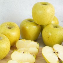 [미식한가] 황금사과 시나노골드 가정용 5kg 29-33과, 1개