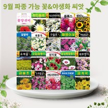 솔림텃밭몰 9월 파종 가능 꽃 야생화 씨앗 모음, 43. 옥잠화 20립, 1개