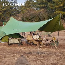 블랙디어 면 헥사타프 캠핑 대형 옥타타프 그늘막, 6각, 280cm폴대*2
