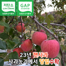 [고당도햇사과] 마미템 고당도 빨간 가정용 햇 홍로 부사 경북 사과 중소과 2kg 3kg 5kg 10kg 산지직송, 사과  5kg소 (27-33개입), 1개