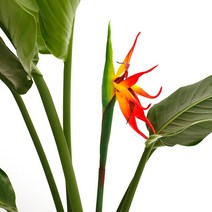 극락조 꽃 조화 인테리어 소품 화분