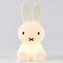 토끼 수면 무드등 네덜란드 Mr Maria 미피아 실리콘 스탠드 사자곰 미니 장식, 03 곰돌이