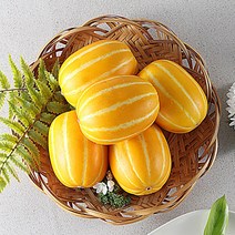 지안농산 당도보장 산지직송 알뜰 성주 꿀참외 2kg, 1box, 꿀 참외 알뜰형 2kg(소과)