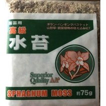 뉴 천연 마른이끼 수태 75g --풍란키우기 토리어리만들기 식물이끼 다용도수태