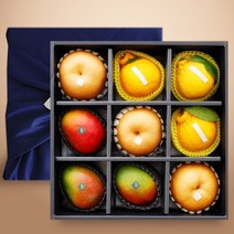 [참다올] 프리미엄 샤인머스켓 혼합 해랑세트B(애플망고 한라봉 배 각3입), 단품