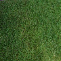 지엘파크 씨거적(1m*30m)볏짚거적 법면용 경사지 토사방지용 잔디씨매트