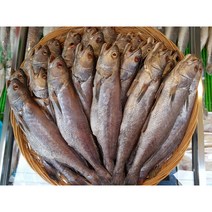 제수용생선 국산민어 37-38cm 생선맛집 싱싱수산