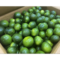 제주 신선한 노지 청귤 2kg 3kg 5kg 10kg 풋귤 제주청귤 청귤 청귤청 청귤10kg 귤 풋귤 감귤 귤청 제주청귤3kg 풋청귤, 5kg (250-500개)