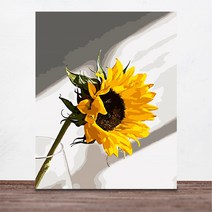 위메이크 페인팅 DIY 명화그리기 세트 햇빛아래서 40x50