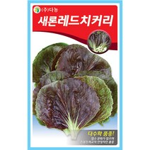 여주 10립 여주씨앗 여주씨 쓴오이 비터멜론 구과 야채씨 야채씨앗 채소씨 채소씨앗, 25_다농_새론 레드치커리(2000립)