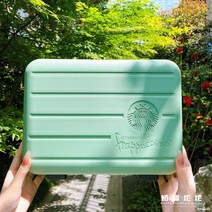 스타벅스 서머 레디백 캐리어 케리어 여행 기내용 10인치 토트백 파우치 33 17 26