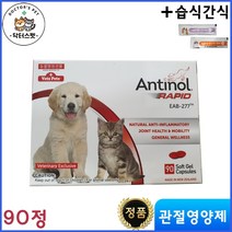 안티놀 90정 / 안티놀 래피드 90정 / 동물병원 전용 정품 / 관절 영양제 / 천연 성분 영양제 / 리뉴얼 신제품 + 동물병원 전용 습식 간식, 강아지