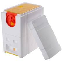 벌통 양봉 토종 나무 사각 꿀벌 벌집 프레임 양봉 상자 꿀벌 하이브 킹 수분 짝짓기 교정 장비