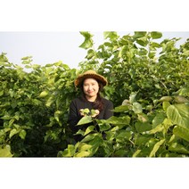 [로컬푸드] 오디농부가 직접 만드는 저당도 수제오디잼 250g