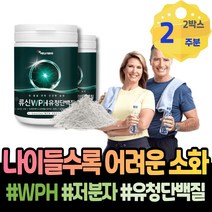 초코프로틴 보충제추천 맛있는 BCAA 운동후프로틴 근육보충제 60대 프로틴웨이 가루 여자 결혼기념일선물 운동후 중년 WPH 운동 유청단백질 PROTEIN 근육감소증 헬스 남녀