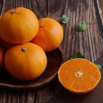 제주 천혜향 특대과 3kg 7-12과, 천혜향 3kg 7-12과[일반포장]