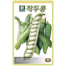 작두콩 5립 / 텃밭작물 가정원예 식물기르기 주말농장 곡물종자