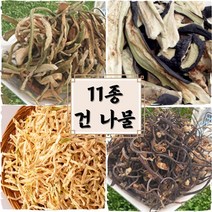 건나물 말린 마른나물 11종 모음, 건 박고지1kg