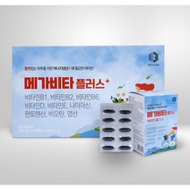[가정의달 특가] 활력비타민 메가비타플러스 1000mg*60캡슐 (3개입) / 총 180캡슐, 3개, 60정