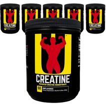 유니버셜뉴트리션 크레아틴 파우더, 300g, 6개