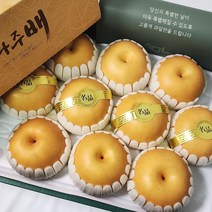 세상모든농부 프리미엄 추석 과일 선물세트 나주배, 04_나주 배선물세트 7.5kg 7-8과, 옵션선택