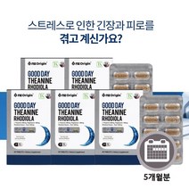 스트레스 긴장 숙면 잠잘오는 피로 개선 지친 하루 에 좋은 테아닌 영양제 홍경천 추출물 마그네슘 함유, 5BOX(5개월분)