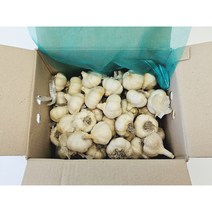 홍산마늘 유황 재배한 밭마늘 화순 마늘 3kg 5kg 코끼리마늘, 5kg / 대, 1개