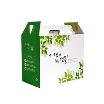 자체제작 한약박스 자연이주는선물(특대) 50장, 1